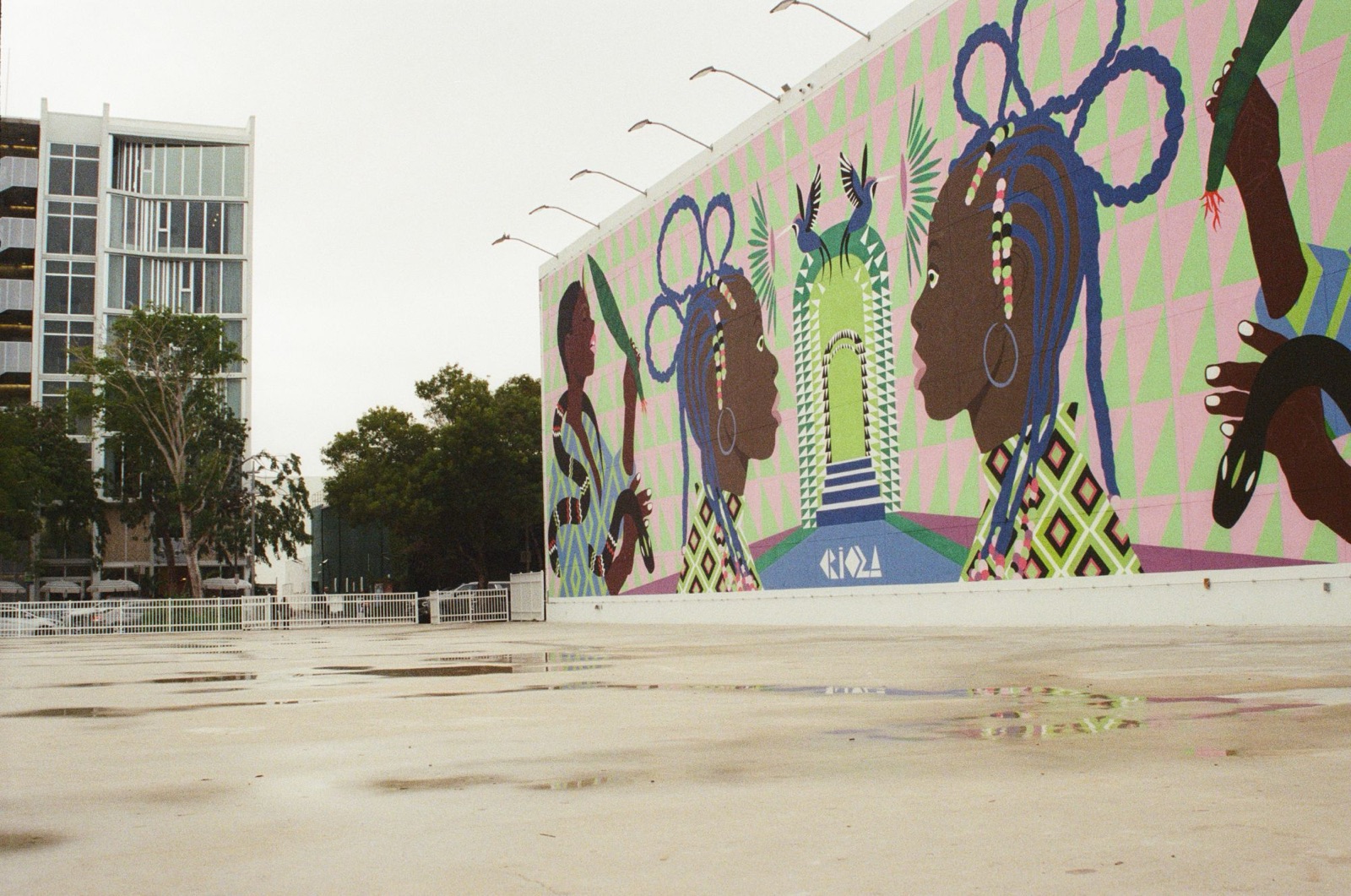 A Wynwood mural in Miami, on film